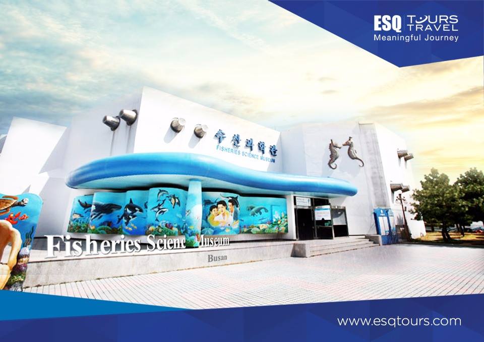 esq tours travel | paket tour muslim wisata halal korea selatan